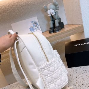 New Collection Dior Bag 049