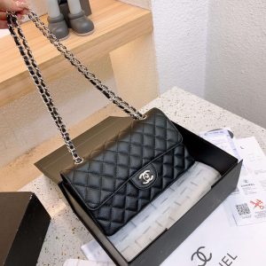 New Collection Chanel Bag 0246