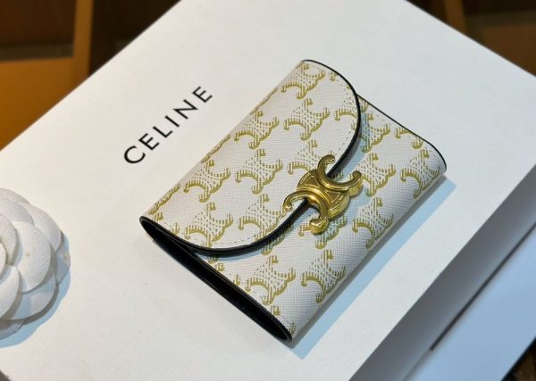 New Collection Celine Bag 010