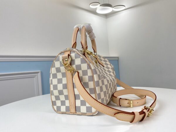 New Collection LV Bag 010