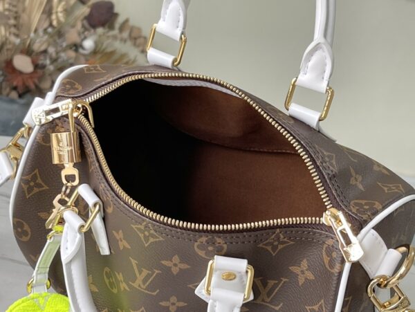 New Collection LV Bag 099