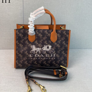 New Collection Coach Bag 52