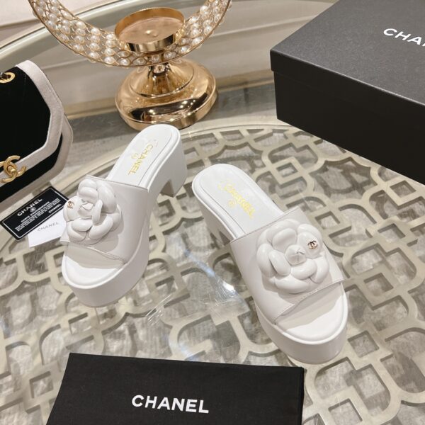 New Collection Chanel Shoes 248