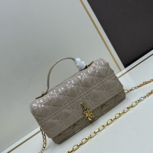 Dior lady 3501 21x11 5x4 5cm jj21 1892866